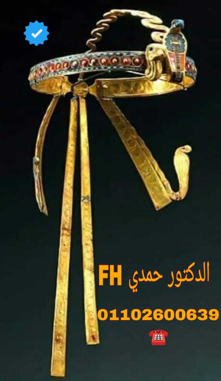 الدكتور حمدي مالك.. خبير علم المصريات وصاحب رؤية علمية في دراسة الحضارة الفرعونية